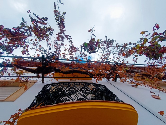 Rusty fall. Photo © Karethe Linaae